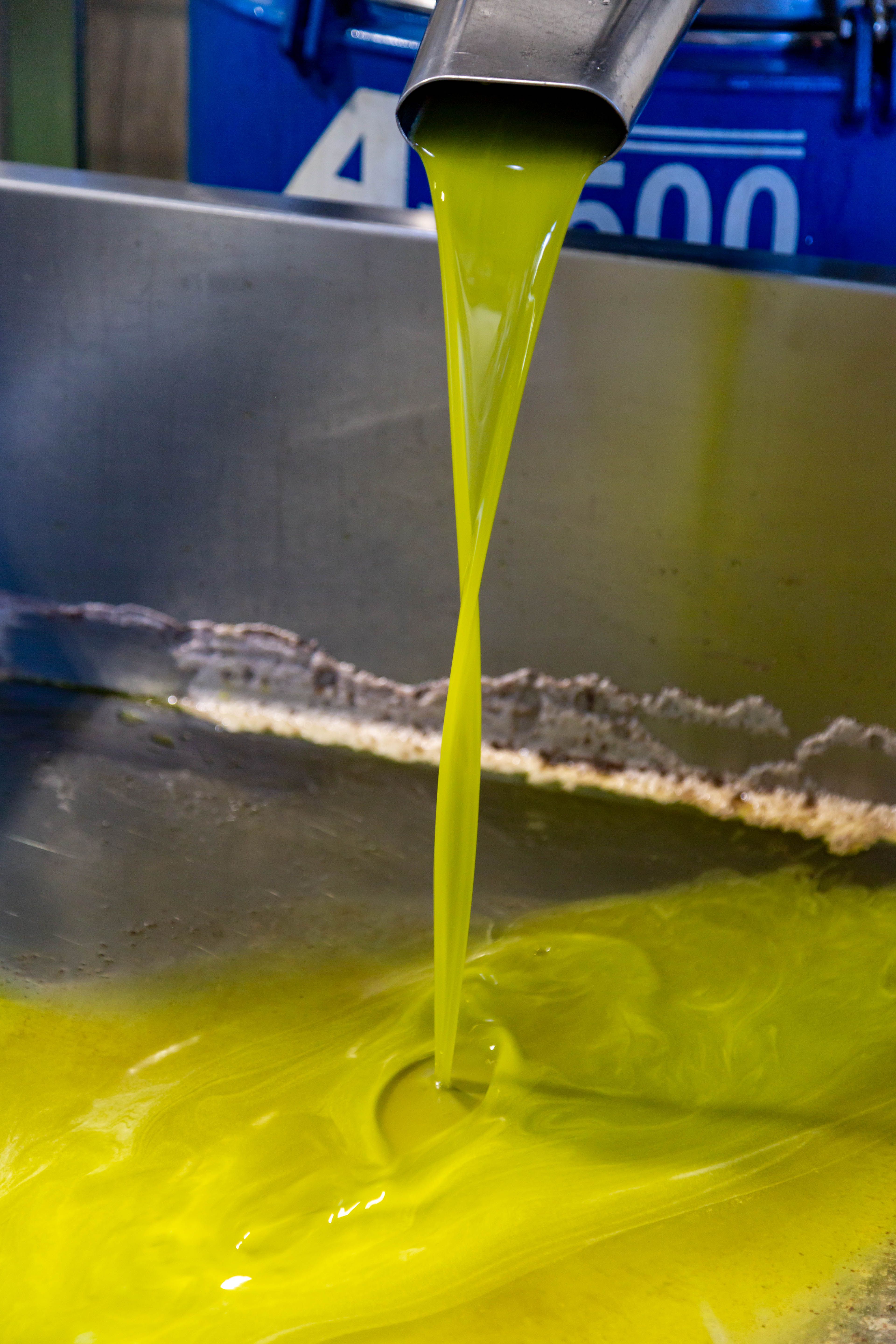 Fresh cold-pressed oil from a Hakura machine